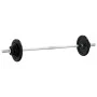 Juego de barra con discos 30 kg hierro fundido | Foru.es | Tu tienda online para hogar, jardín y más Foro24.es