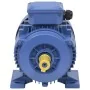 Motor eléctrico trifásico aluminio 2,2kW/3HP 2 polos 2840 RPM de , Motores eléctricos - Ref: Foro24-148004, Precio: 163,93 €,...