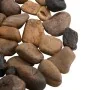 Guijarros pulidos colores mezclados 10 kg 2-5 cm | Foru.es | Tu tienda online para hogar, jardín y más Foro24.es