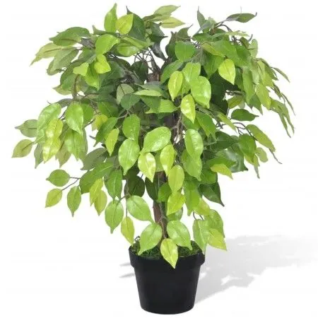 Artificial Dwarf Ficus Plant in Pot, 60cm by vidaXL, artificial flora - Ref: Foro24-241358, Price: 36,64 €, Discount: %