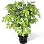 Artificial Dwarf Ficus Plant in Pot, 60cm by vidaXL, artificial flora - Ref: Foro24-241358, Price: 36,64 €, Discount: %