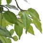 Artificial Dwarf Ficus Plant in Pot, 60cm by vidaXL, artificial flora - Ref: Foro24-241358, Price: 36,64 €, Discount: %