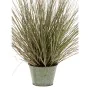 Emerald Planta artificial pennisetum 71 cm verde 418155 de Emerald, Flora artificial - Ref: Foro24-414494, Precio: 53,32 €, D...