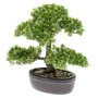 Emerald Mini bonsai artificial Ficus verde 32 cm 420002 de Emerald, Flora artificial - Ref: Foro24-414503, Precio: 52,05 €, D...