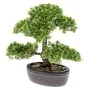 Emerald Mini Kunstbonsai Ficus grün 32 cm 420002 von Emerald, Künstliche Flora - Ref: Foro24-414503, Preis: 52,05 €, Rabatt: %