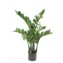 Emerald Planta zamioculca artificial 70 cm de Emerald, Flora artificial - Ref: Foro24-423603, Precio: 55,44 €, Descuento: %