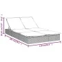 Tumbona 2 personas ratán sintético con cojines gris de vidaXL, Tumbonas - Ref: Foro24-319646, Precio: 266,54 €, Descuento: %