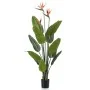 Emerald Planta artificial Strelitzia con maceta y flores 120 cm de Emerald, Flora artificial - Ref: Foro24-428469, Precio: 86...