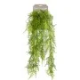 Emerald Helecho plumoso artificial 80 cm de Emerald, Flora artificial - Ref: Foro24-423622, Precio: 22,11 €, Descuento: %