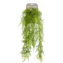Emerald Künstlicher Federfarn 80 cm von Emerald, Künstliche Flora - Ref: Foro24-423622, Preis: 22,11 €, Rabatt: %