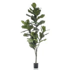 Künstlicher Emerald Ficus lyrata 160 cm von Emerald, Künstliche Flora - Ref: Foro24-423643, Preis: 122,60 €, Rabatt: %