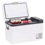 Nevera con asa PP y PE negro y blanco 25 L de vidaXL, Neveras - Ref: Foro24-51780, Precio: 409,75 €, Descuento: %