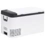 Nevera con asa PP y PE negro y blanco 25 L de vidaXL, Neveras - Ref: Foro24-51780, Precio: 409,75 €, Descuento: %
