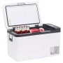 Nevera con asa PP y PE negro y blanco 18 L de vidaXL, Neveras - Ref: Foro24-51779, Precio: 317,30 €, Descuento: %