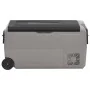 Nevera con ruedas y asa PP Y PE negro y gris 50 L de vidaXL, Neveras - Ref: Foro24-51785, Precio: 411,73 €, Descuento: %