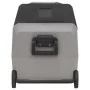 Nevera con ruedas y asa PP Y PE negro y gris 60 L de vidaXL, Neveras - Ref: Foro24-51786, Precio: 509,19 €, Descuento: %