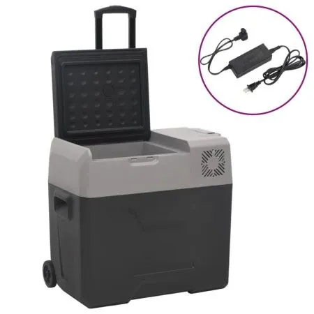 Nevera con ruedas y adaptador polipropileno negro y gris 30 L de vidaXL, Neveras - Ref: Foro24-3154635, Precio: 269,98 €, Des...