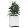 Jardineras 2 unidades polipropileno blanco 30x30x37 cm de vidaXL, Maceteros y jardineras - Ref: Foro24-364183, Precio: 57,77 ...