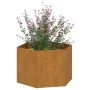Jardinera de acero corten oxidado 60x60x45 cm de vidaXL, Maceteros y jardineras - Ref: Foro24-823675, Precio: 58,82 €, Descue...