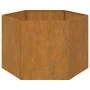 Jardinera de acero corten oxidado 60x60x45 cm de vidaXL, Maceteros y jardineras - Ref: Foro24-823675, Precio: 58,82 €, Descue...
