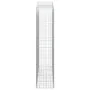 Cestas de gaviones 2 uds forma de arco hierro 200x50x220/240 cm de vidaXL, Maceteros y jardineras - Ref: Foro24-3145766, Prec...