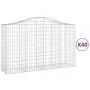 Cestas gaviones 40 uds forma de arco hierro 200x50x120/140 cm de vidaXL, Maceteros y jardineras - Ref: Foro24-3145679, Precio...