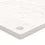Tablero de escritorio madera maciza pino blanco 100x50x2,5 cm de vidaXL, Accesorios y productos para escritorios - Ref: Foro2...