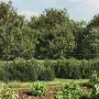 Cerca de alambre con brida gris antracita 2x10 m de vidaXL, Paneles de vallas - Ref: Foro24-153990, Precio: 82,11 €, Descuent...