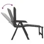 Tumbona de plástico gris antracita de vidaXL, Tumbonas - Ref: Foro24-364707, Precio: 95,36 €, Descuento: %
