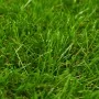 Green artificial grass 1x2 m/30 mm by vidaXL, artificial flora - Ref: Foro24-318323, Price: 36,09 €, Discount: %