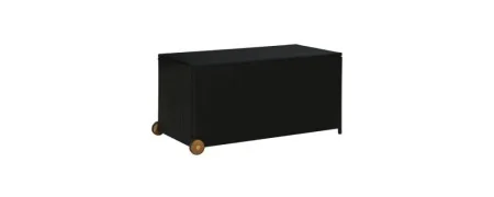 Outdoor storage boxes